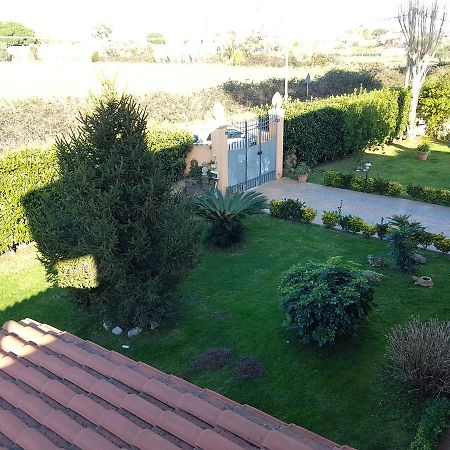 B&B Villa Elema Nettuno Buitenkant foto